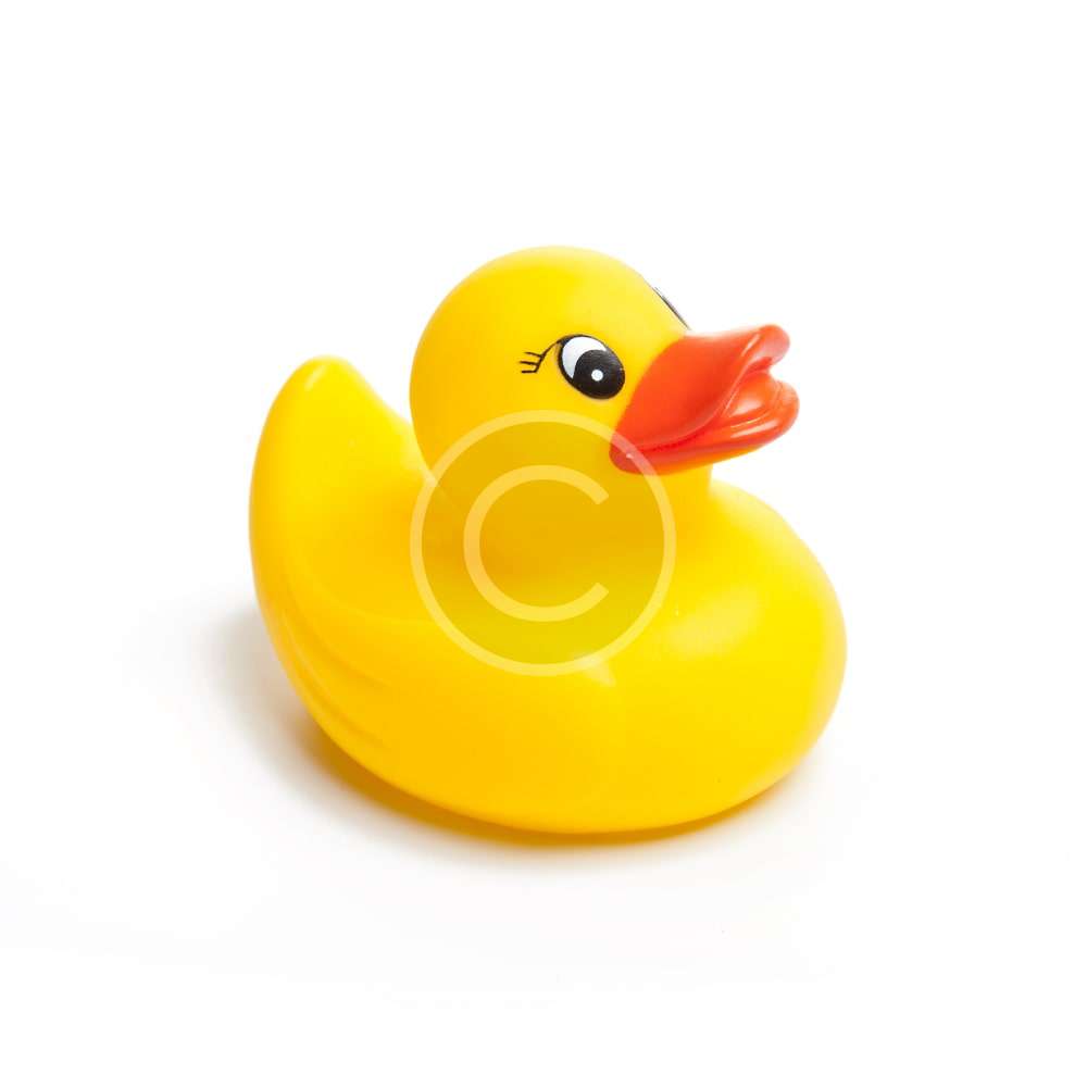 Rubber Duck